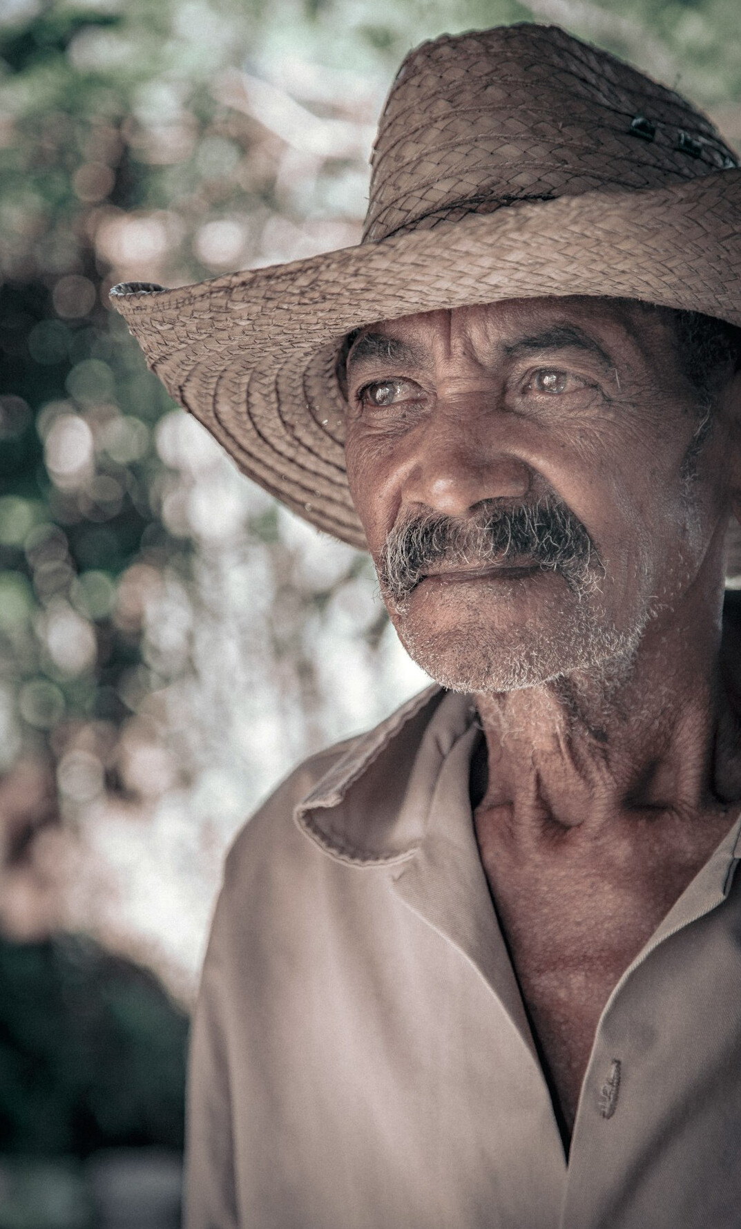Studio portrait of a Mexican man finance mentor with a beard